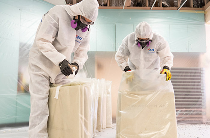 Asbestos and Lead Abatement for Regional Offices