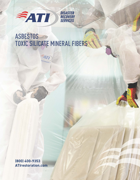 Asbestos - Toxic Silicate Mineral Fibers whitepaper