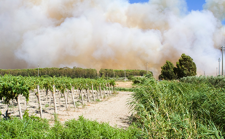 Sonoma County Wildfires: Protecting Life & Property