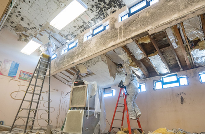 Mold Remediation for Regional Offices