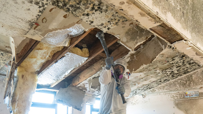 Mold Remediation