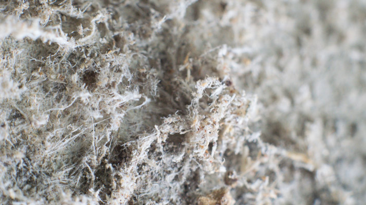 Lead & Asbestos Abatement