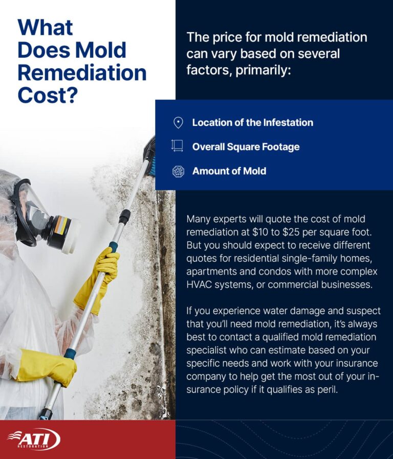 What does mold remediation cost? | ATI Restoration